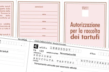 Guida alla Raccolta dei Tartufi in Italia Requisiti e Procedure