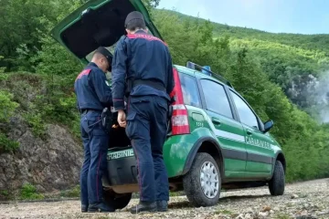 Raccoglitore abusivo di tartufi sorpreso dai Carabinieri Forestali sanzioni e sospensione