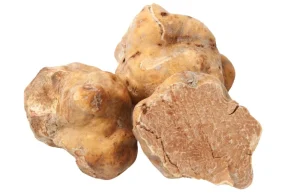 Tartufo bianco pregiato Tartufo bianco dAlba