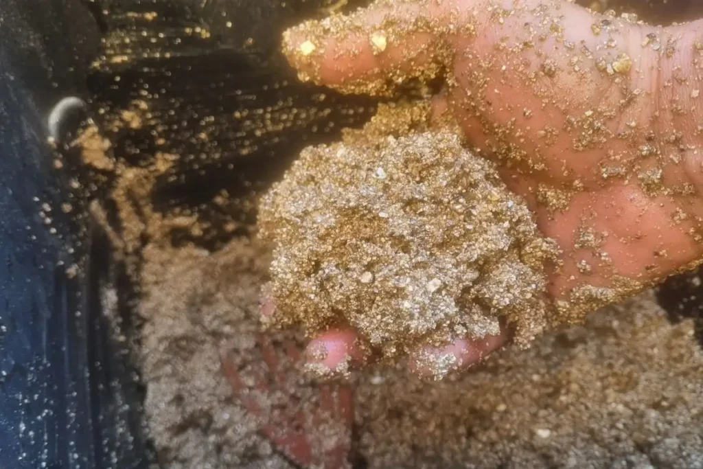 Operazioni colturali specifiche per il Tartufo Nero Pregiato (Tuber melanosporum) 8 Inoculo sporale del Tuber melanosporum aprile–maggio